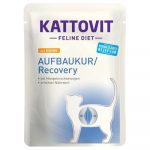 Kattovit Recovery Buste - pollo