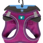 Pettorina Soft Farm Company Viola - 3xs