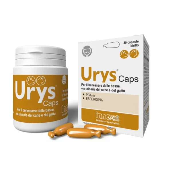 urys caps